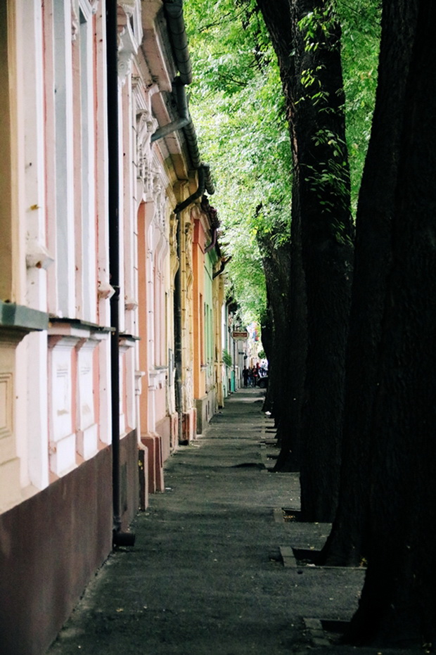 3_resize