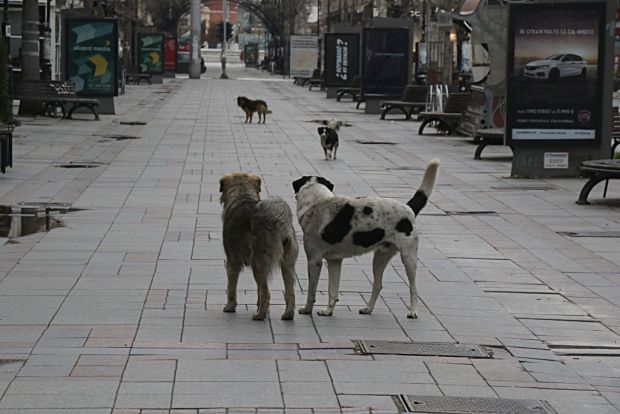 7_IMG_20200328_172627