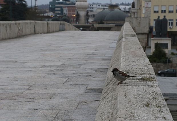 IMG_20200328_173416