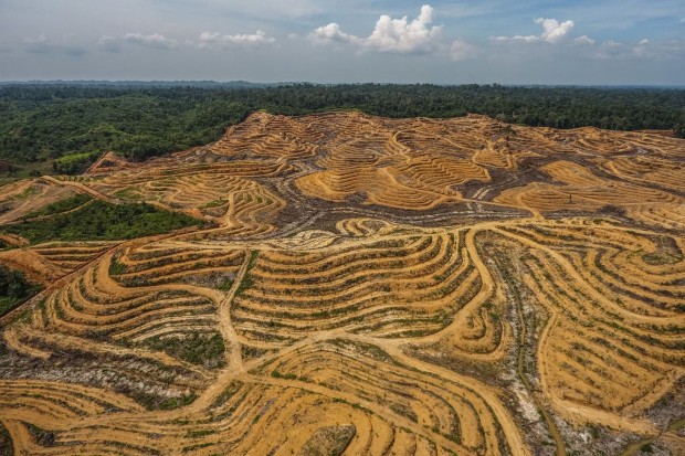 biodiversity loss3