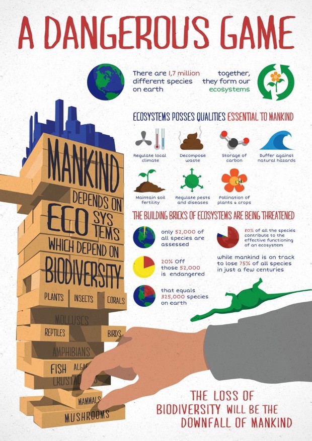 biodiversity loss4