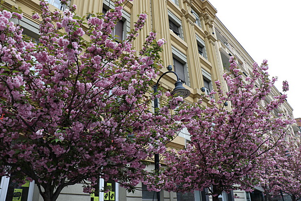 IMG_20200414_080945_resize