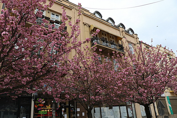 IMG_20200414_081148_resize