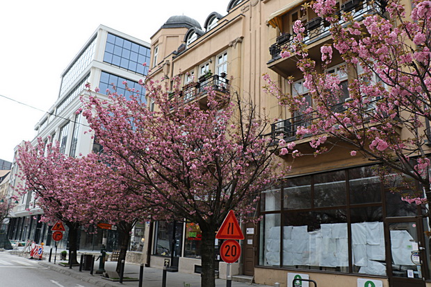 IMG_20200414_081220_resize