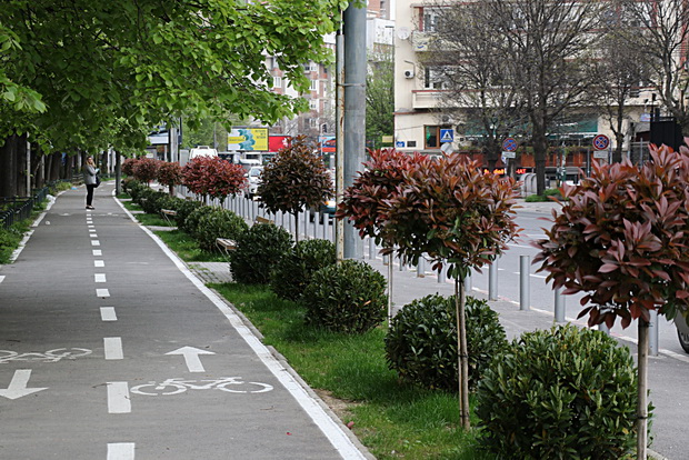 IMG_20200414_081428_resize