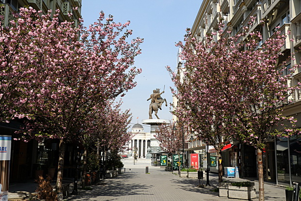 IMG_20200414_081501_resize