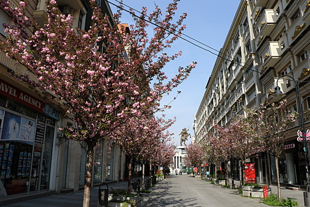 IMG_20200414_081531_resize