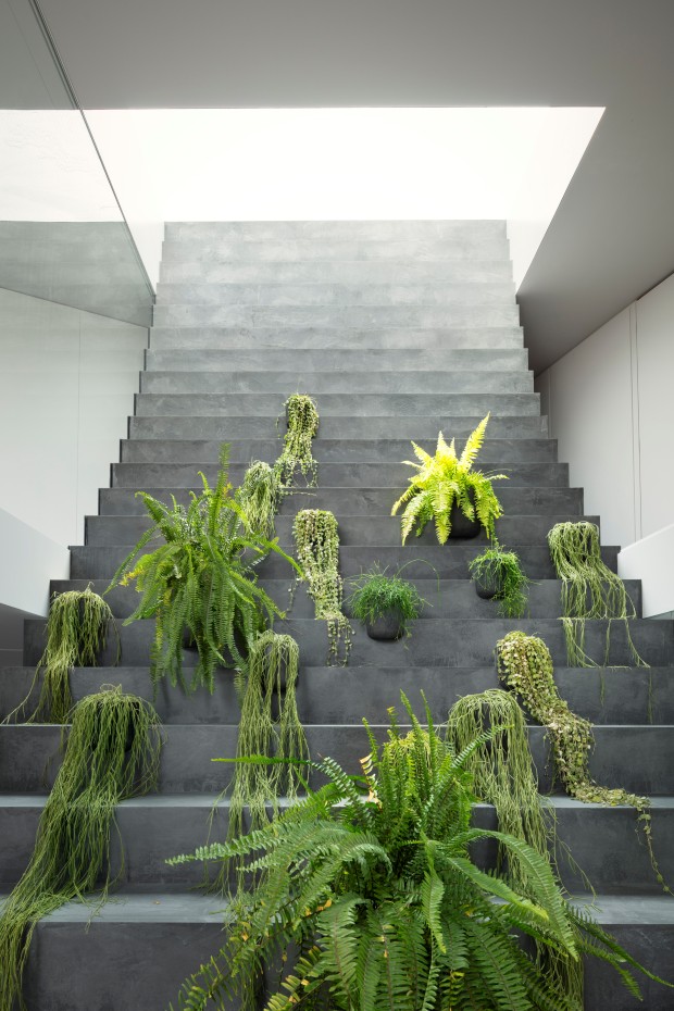 stairway3