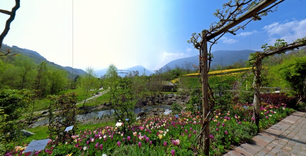tirol