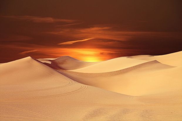 sahara