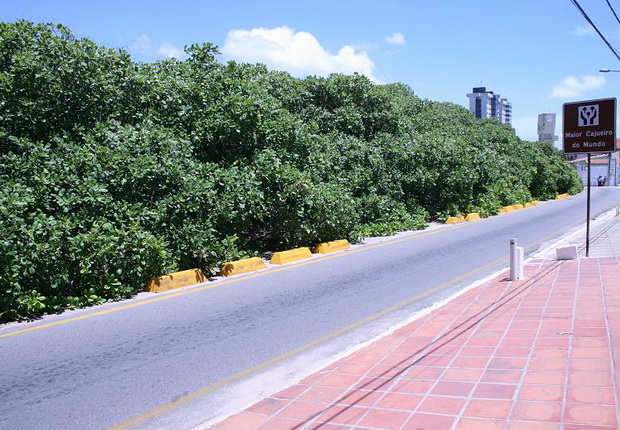 4_resize
