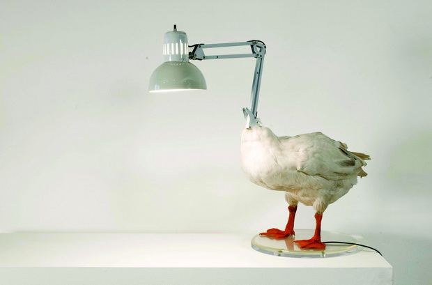 56_duck-lamp-high-1-z_resize