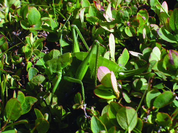 DSC01188