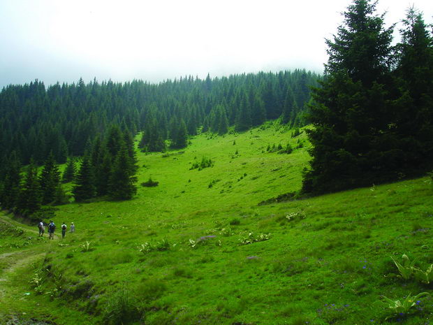 DSC01313