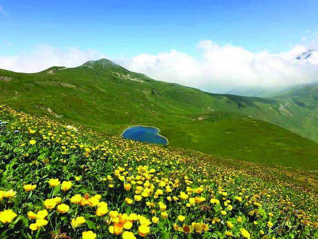 Sar planina1