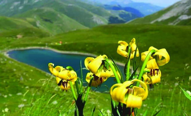 Sar planina3