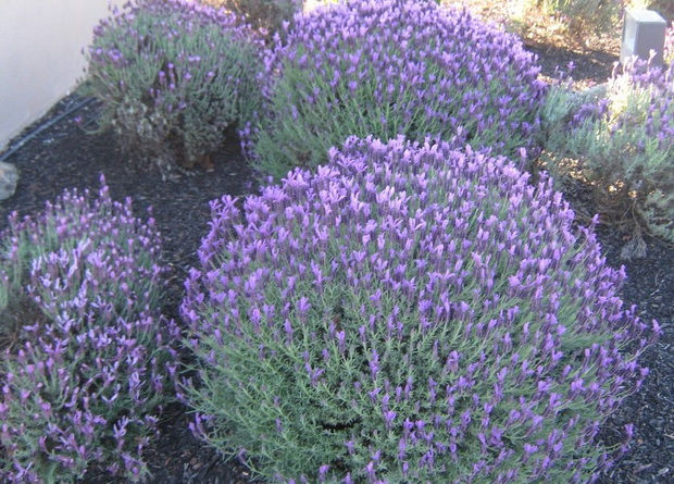 90_resize