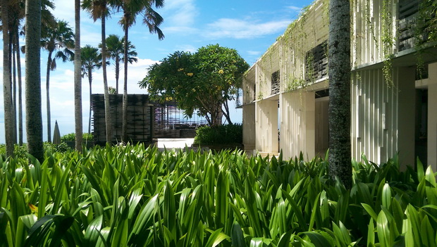 25_resize