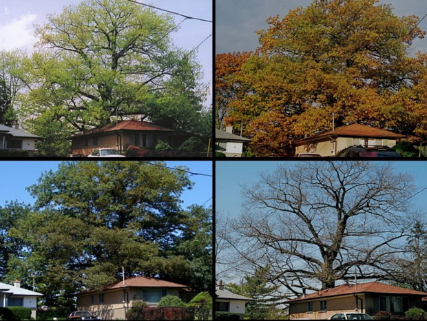 2_resize