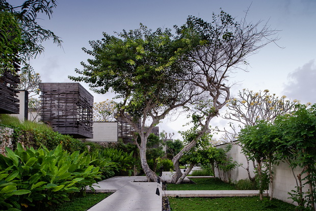 39_resize