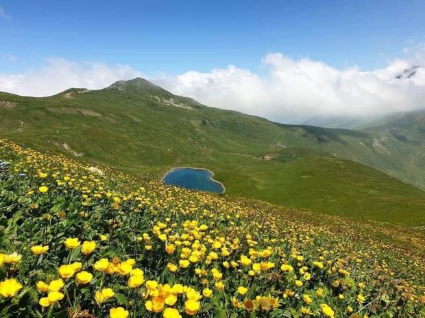 Sar planina1