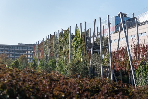 park2