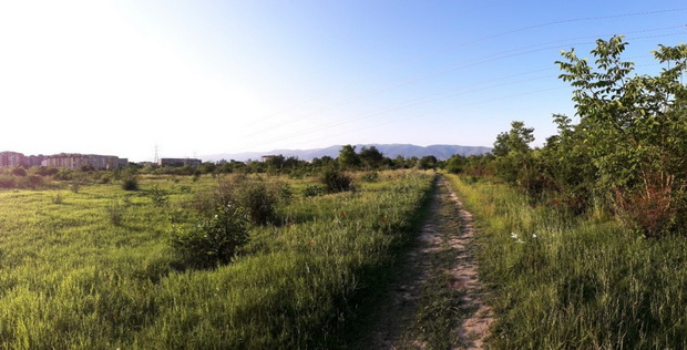 13_resize
