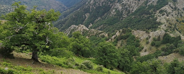 1_resize