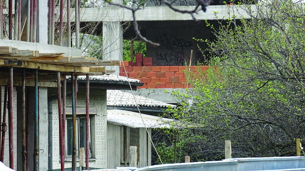 DSC08393_resize