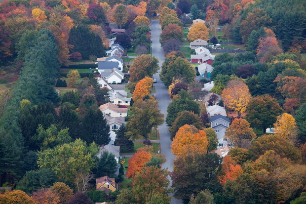 Autumn trees among suburban neighborhood