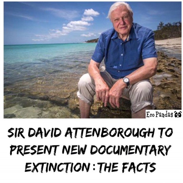 extintion1
