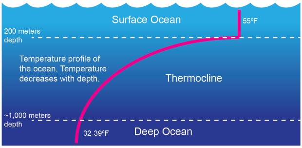 NOAA2