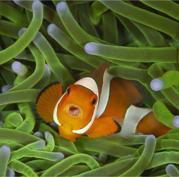 zivotni3
