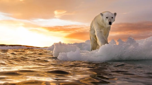climate changes3