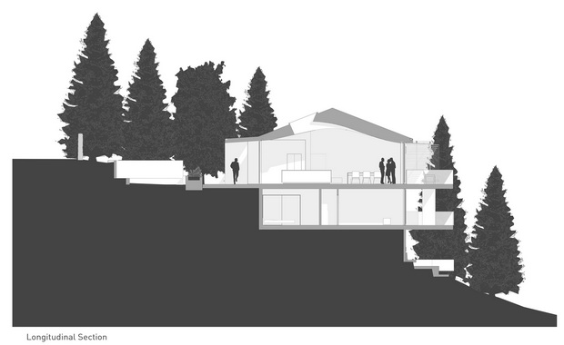 LS1 L Section _ Layout