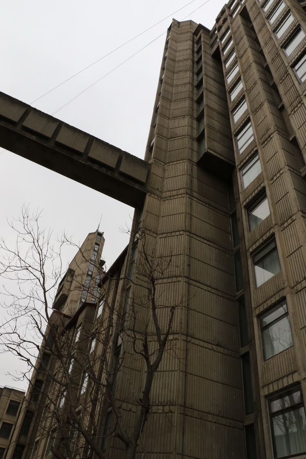 4H5A7398_resize