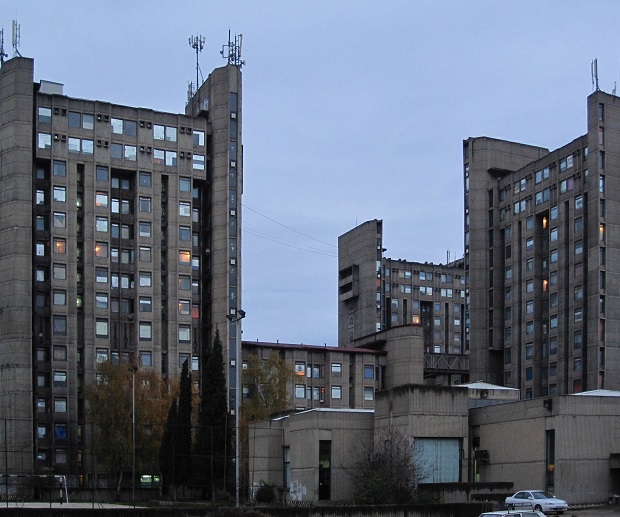 Georgi3