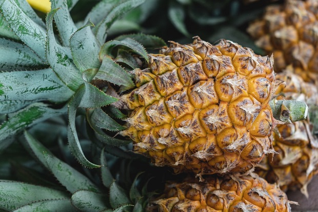 ananas1