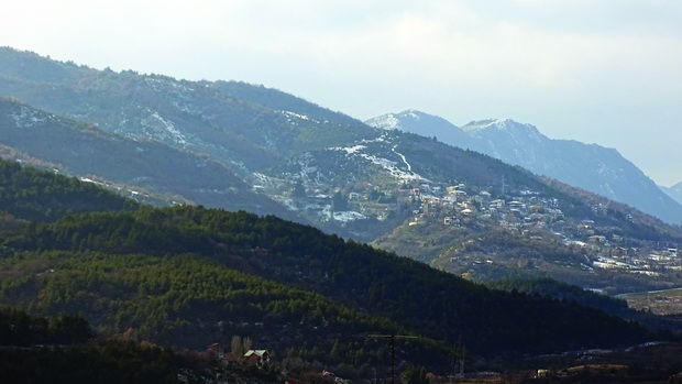 DSC00771_resize