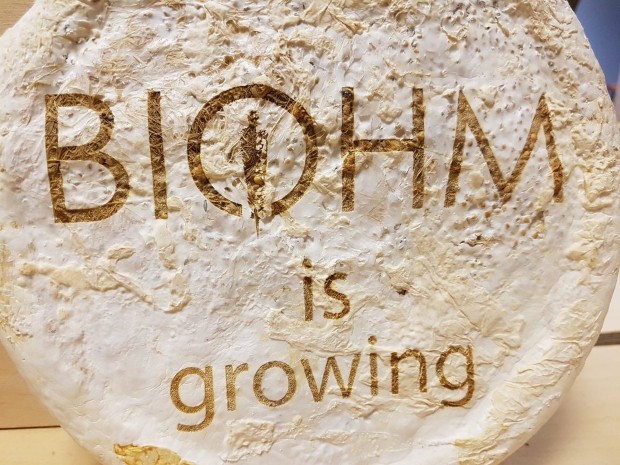 biohm3