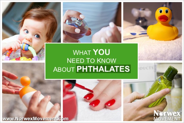 phthalates_1