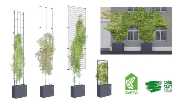 berta2