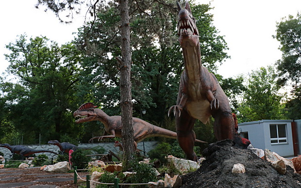 IMG_20210528_204611_resize