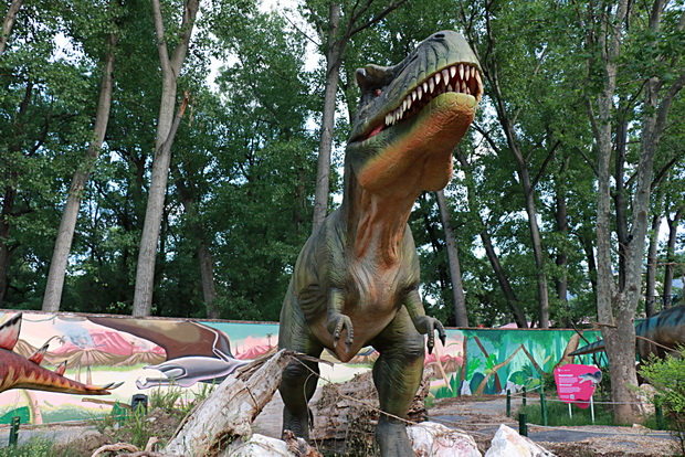 IMG_20210528_205052_resize