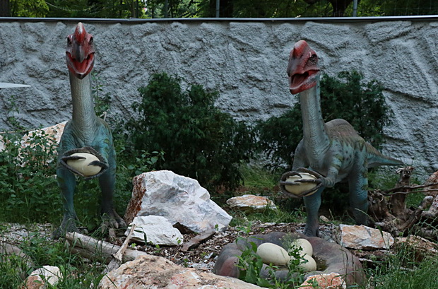 IMG_20210528_205653_resize
