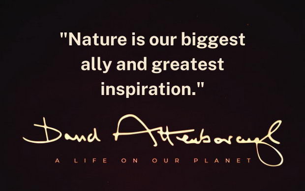 Nature-is-our-biggest-ally-and-greatest-inspiration