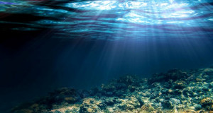 Еколозите предупредуваат: Медитеранот станува тропско море
