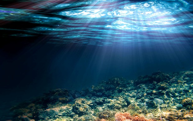 underwater