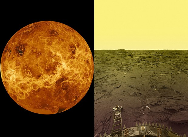 venus2