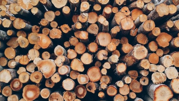 wood2